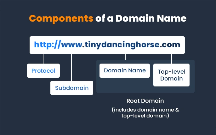 different components of domain name