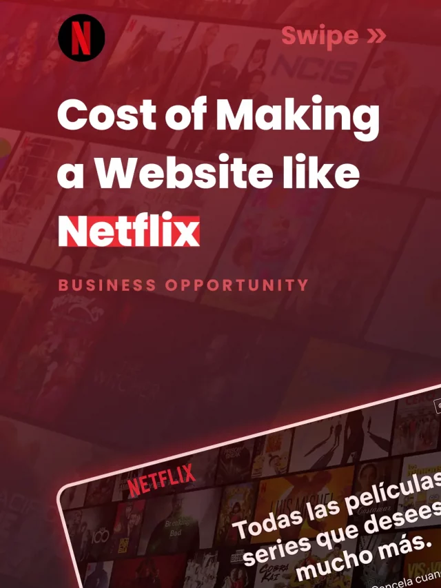 cropped-Cost-of-Developing-a-Website-like-Netflix.webp